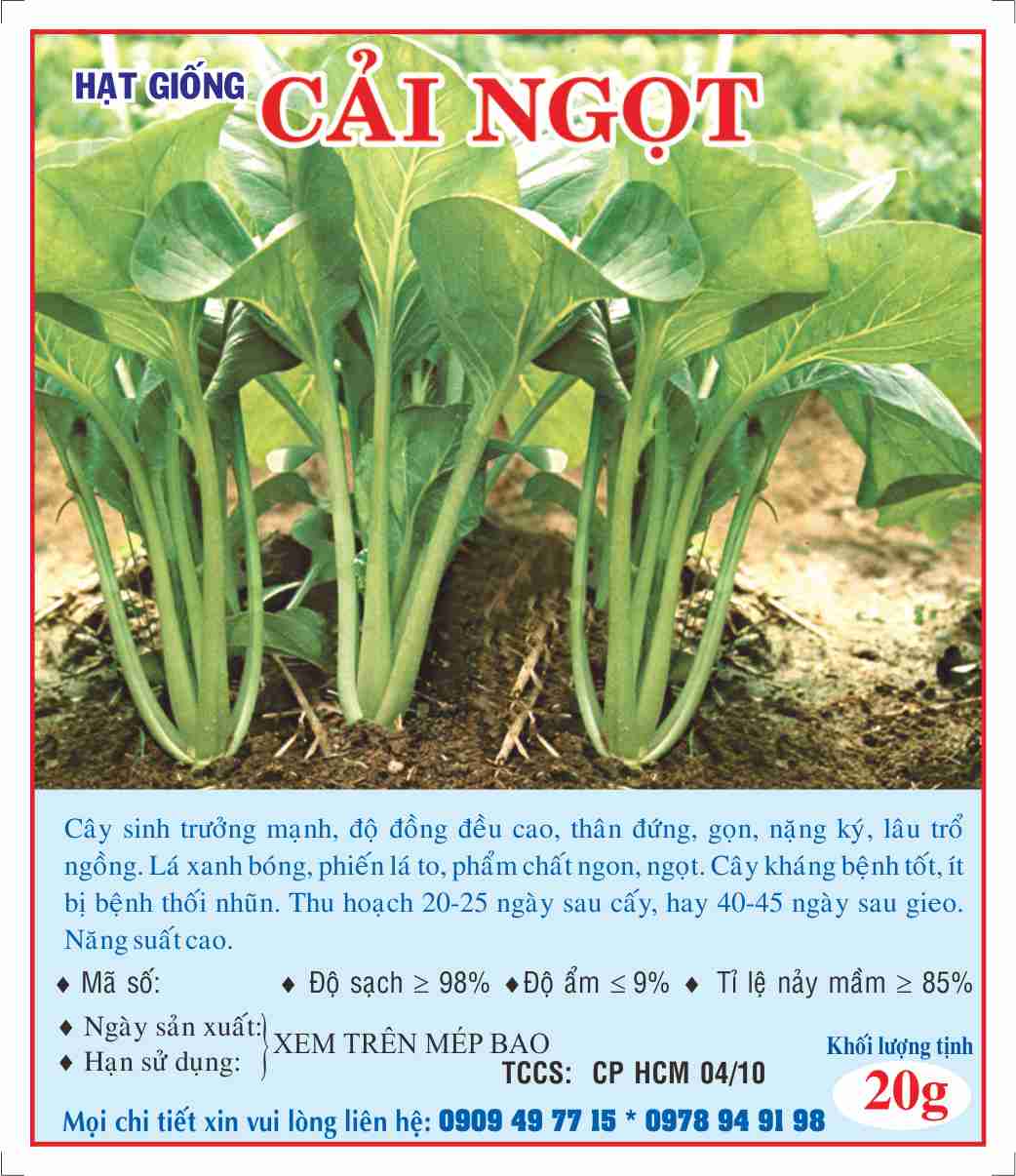 Hạt giống cải ngọt 
